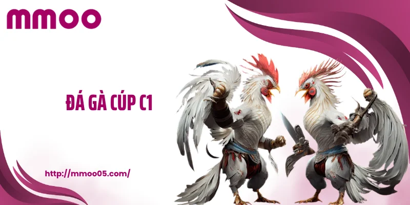 Đá gà cúp C1