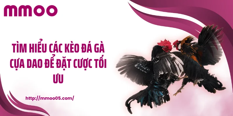Tìm hiểu các kèo đá gà cựa dao để đặt cược tối ưu